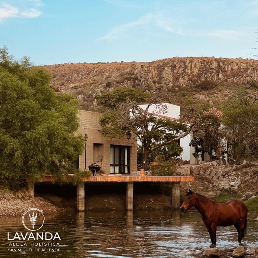 Lavanda Aldea Holística San Miguel de Allende Exterior foto