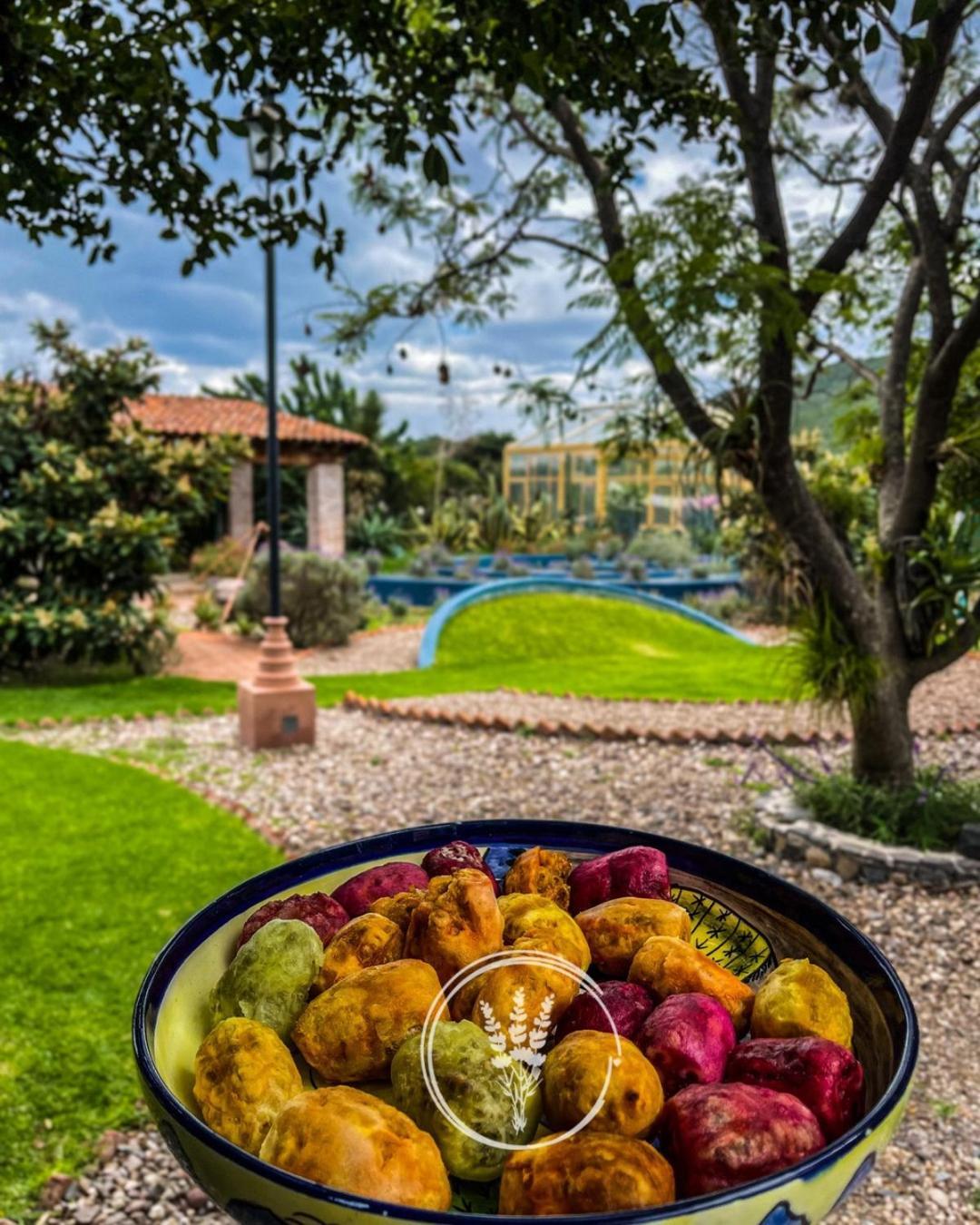 Lavanda Aldea Holística San Miguel de Allende Exterior foto