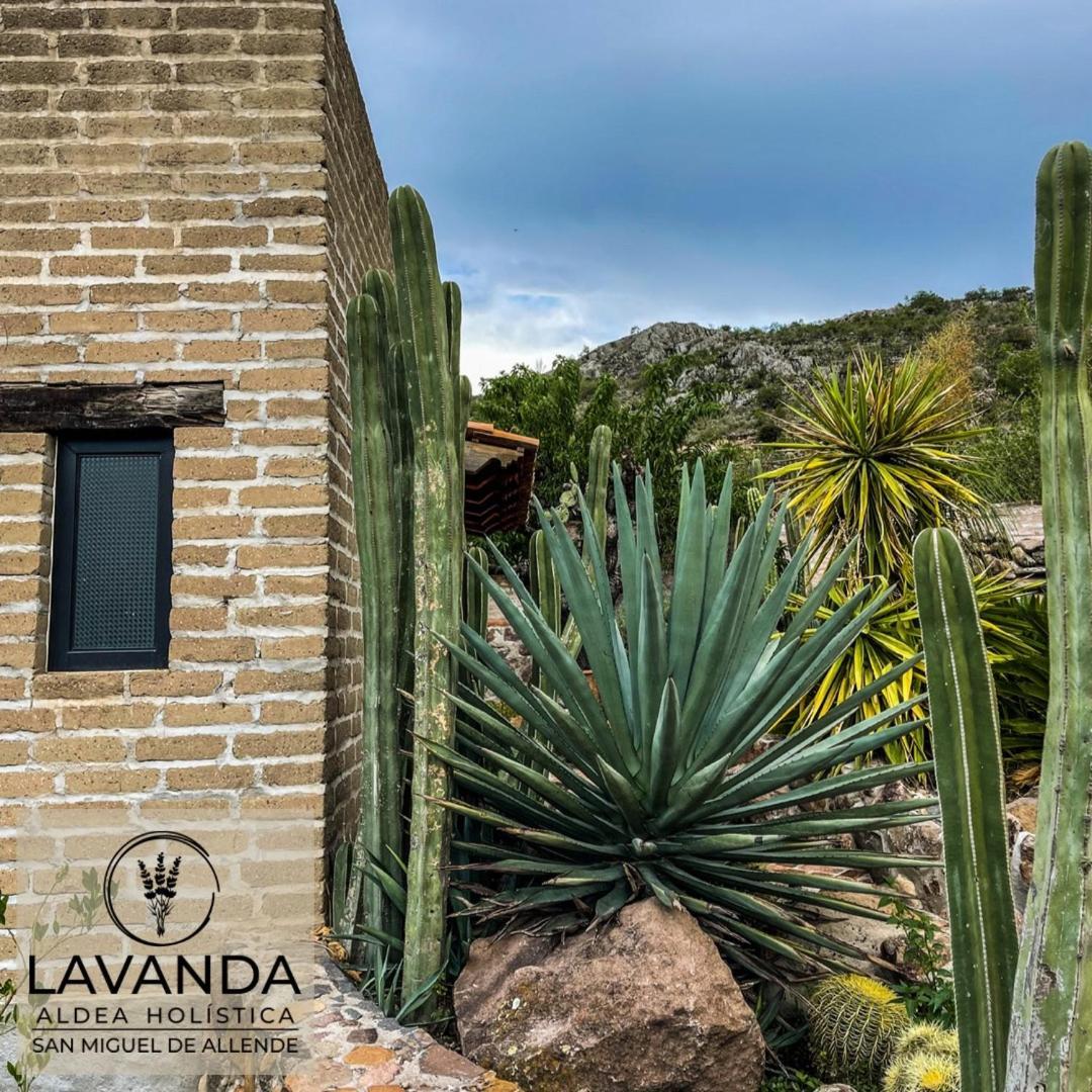 Lavanda Aldea Holística San Miguel de Allende Exterior foto