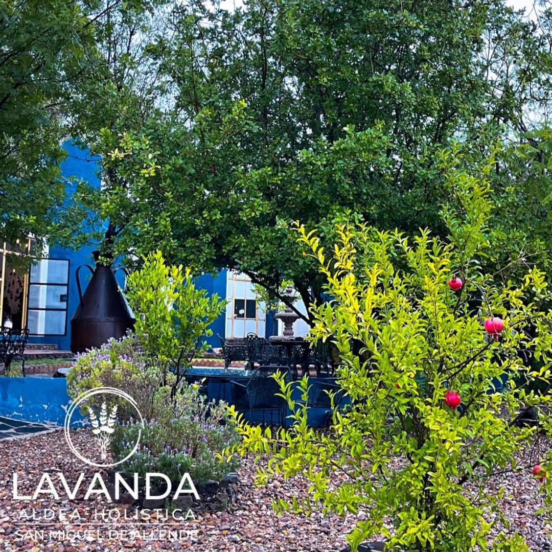 Lavanda Aldea Holística San Miguel de Allende Exterior foto
