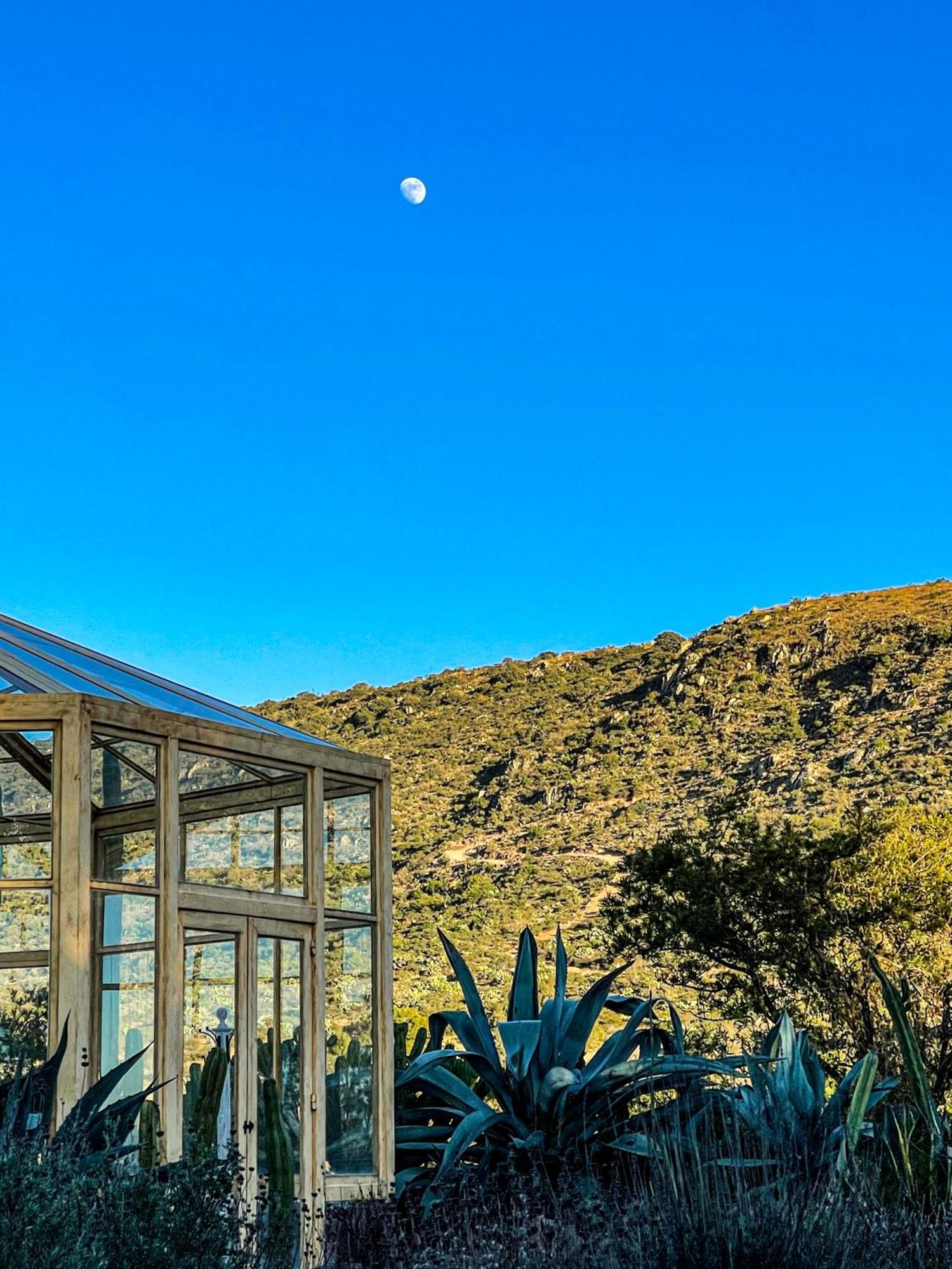 Lavanda Aldea Holística San Miguel de Allende Exterior foto