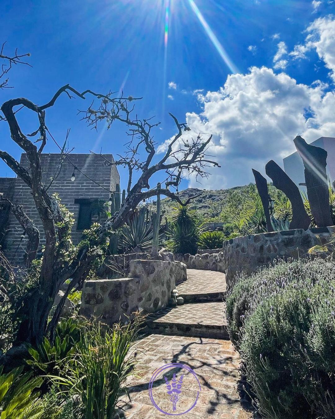 Lavanda Aldea Holística San Miguel de Allende Exterior foto